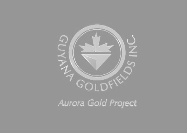 Goldfield 3d logo, branding, marketing, advertising, Toronto, Greater Toronto Area, GTA, Stouffville, York Region, Aurora, Newmarket, Markham, Richmond Hill, Ontario