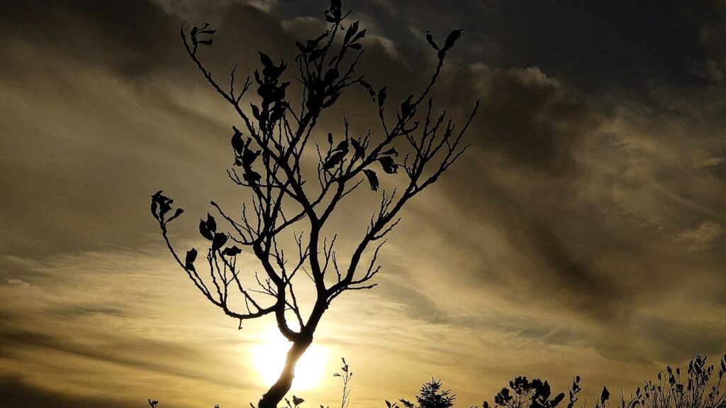 A wintery sky, shetland
