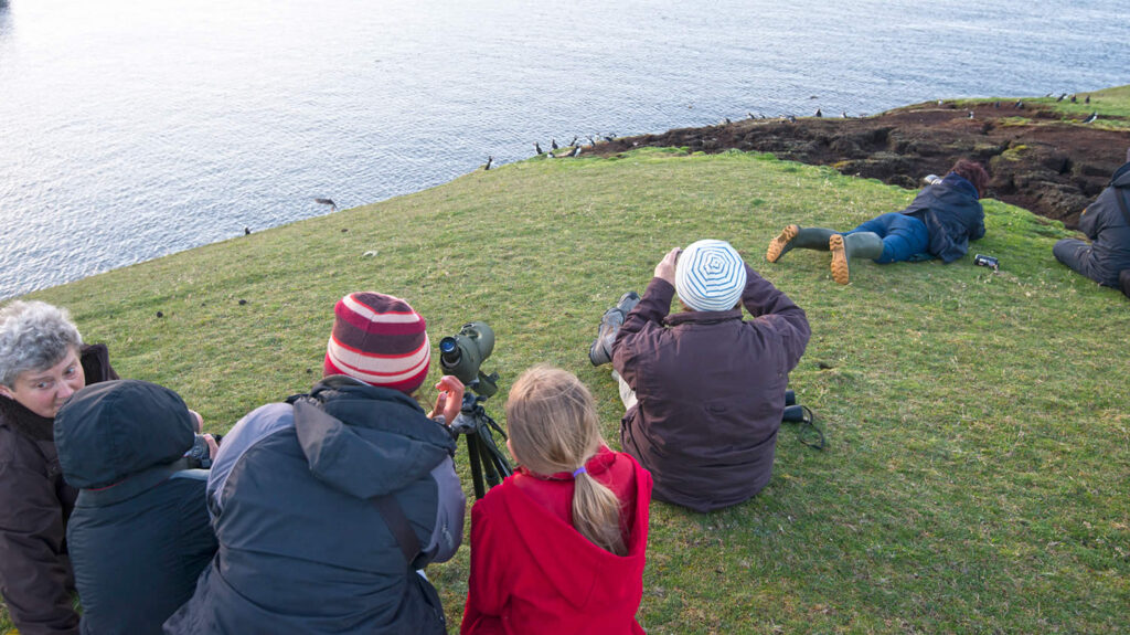 Birdwatching in the Shetland islands