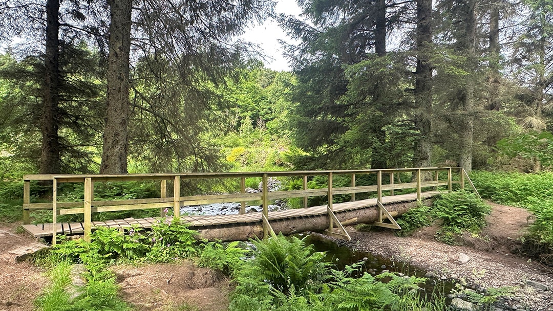 Crynoch Burn at Maryculter Woods