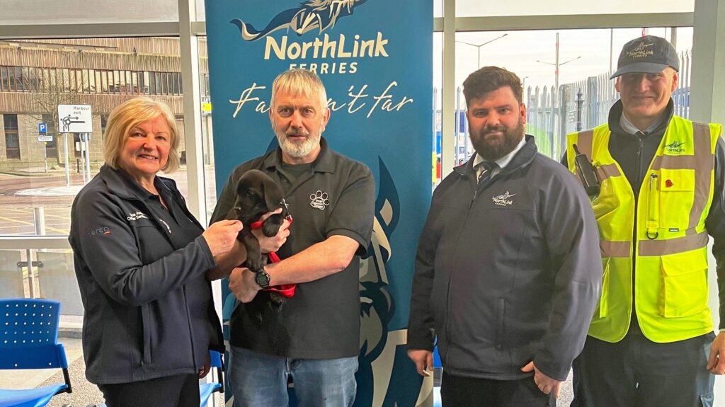 Dog's Against Drugs Shetland new recruit, Echo, at the Aberdeen Terminal