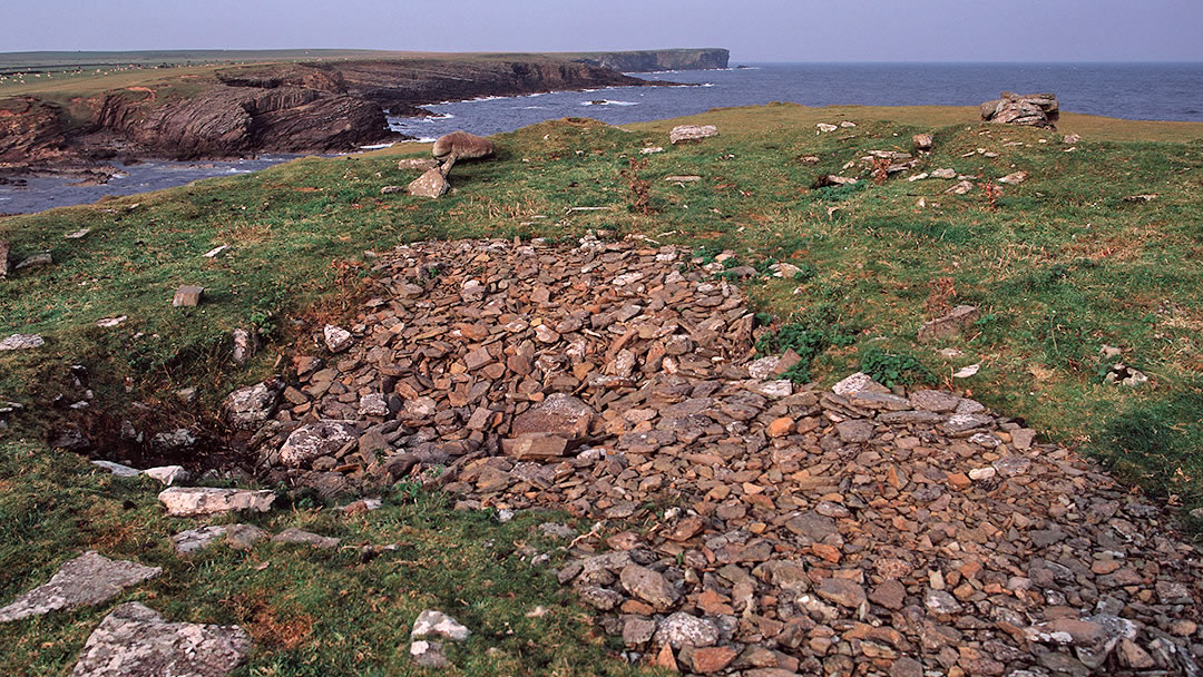 Lambness in Stronsay, Orkney