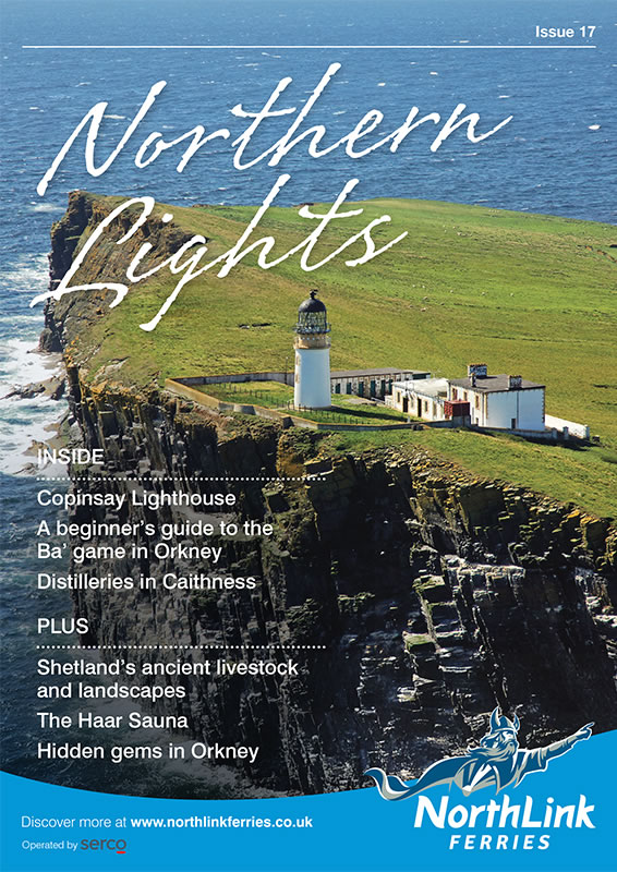 Northern Lights Issue 17