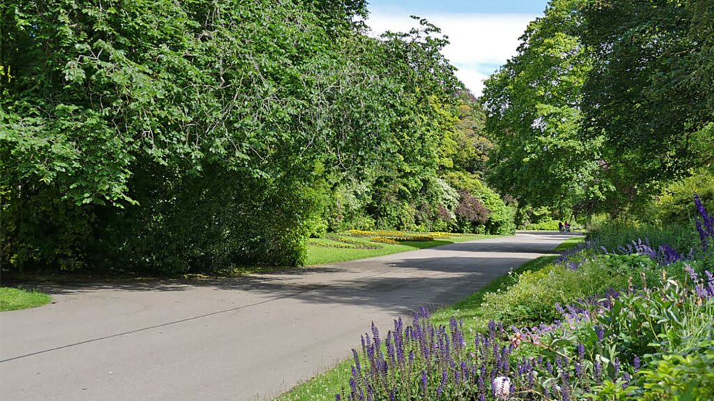 Pathway in Duthie Park