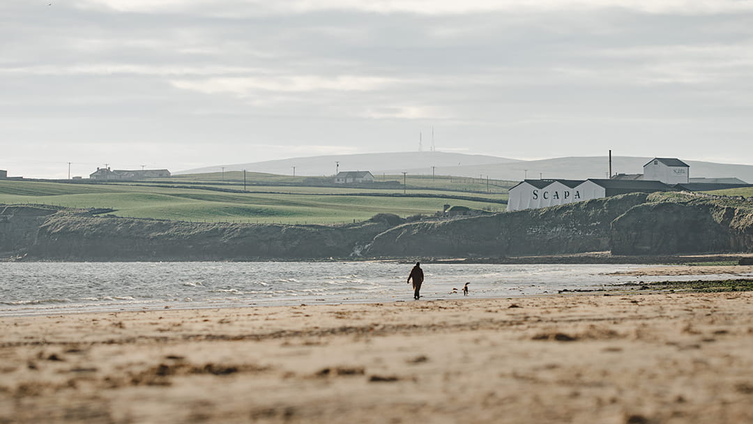 Scapa Distillery overlooks the lovely Scapa Beach