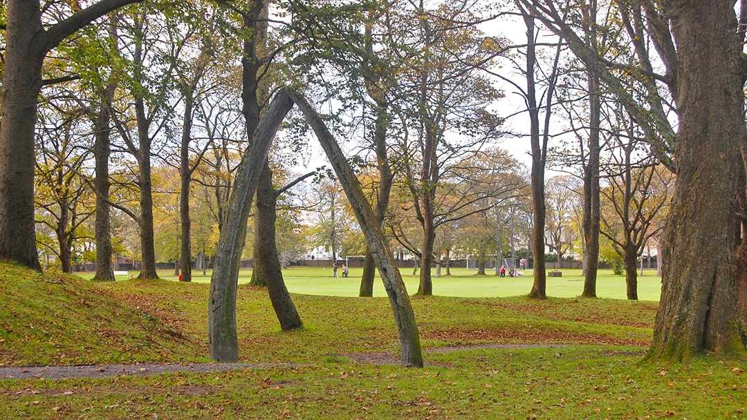 Whale bones at Stewart Park